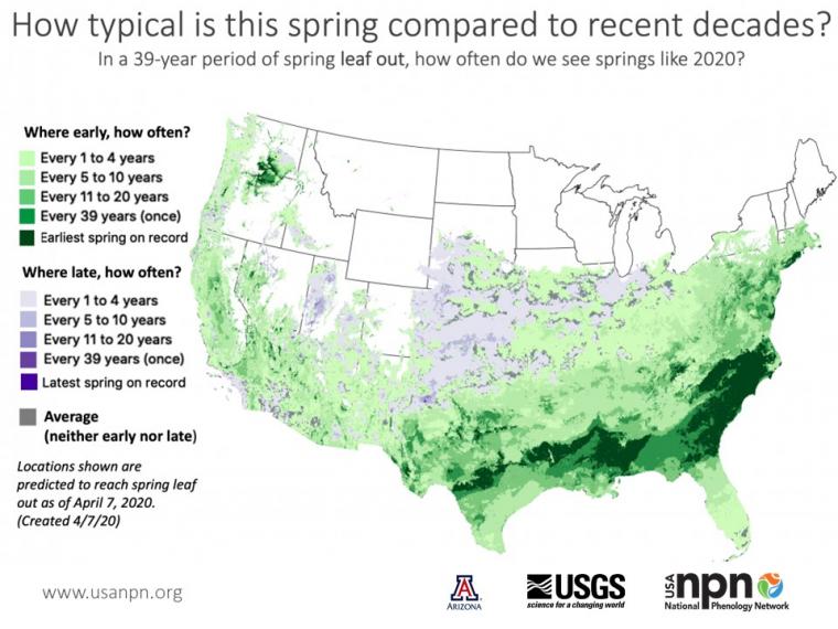 How typical was Spring 2020? USA National Phenology Network
